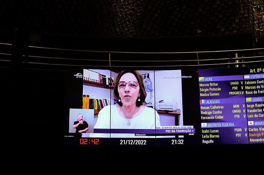 Senadora Zenaide Maia (Pros-RN) em pronunciamento via videoconferência.