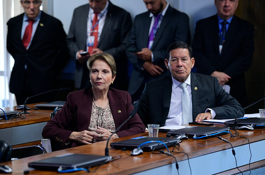 Banacada:
senadora Tereza Cristina (PP-MS); 
senador Hamilton Mourão (Republicanos-RS).