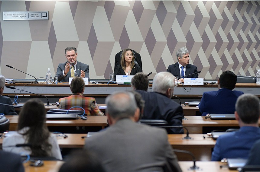 Bancada:
senador Beto Faro (PT-PA); 
senadora Margareth Buzetti (PSD-MT);
senador Jaime Bagattoli (PL-RO);
senador Luis Carlos Heinze (PP-RS).