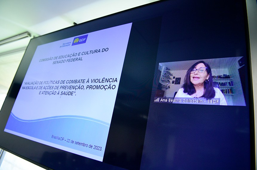 No painel, representante da Subsecretaria de Educação Básica da Secretaria de Estado de Educação do Distrito Federal, Ana Beatriz Nunes Pereira Goldstein, em pronunciamento via videoconferência.