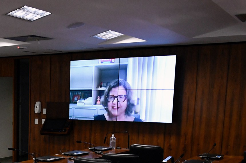 Presidente eventual da CE, senadora Teresa Leitão (PT-PE), conduz audiência remotamente.