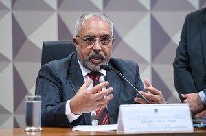 Mesa: 
presidente da CDH, senador Paulo Paim (PT-RS).