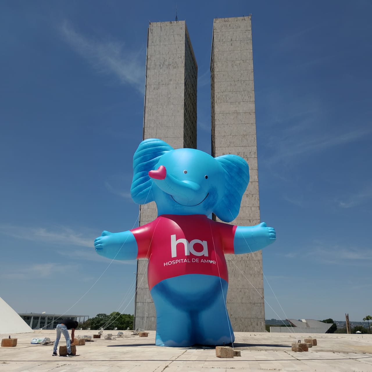 Mascote Mamu gigante instalada na cúpula do Congresso Nacional