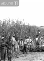 Camponeses são libertados no RS quando 1ª lei trabalhista rural faz 60 anos