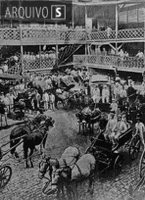 Oswaldo Cruz, o médico que derrotou o Aedes