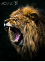 Senadores usaram o leão do Imposto de Renda para criticar a ditadura militar