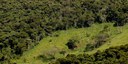 Suspensão de autorizações para novos desmatamentos na Amazônia