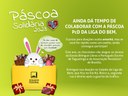3fase_email_mkt_800x600_pascoa_solidaria_2023_ds.jpg