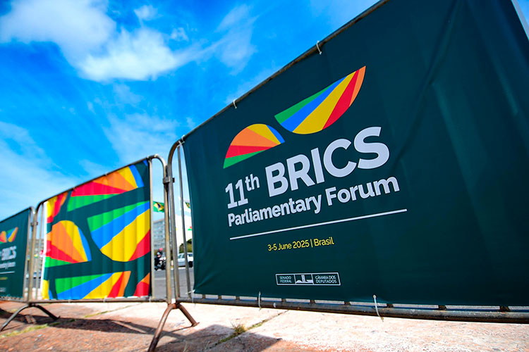 BRICS-04.jpg