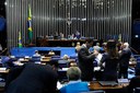Senado rejeita projeto para privatização de distribuidora de energia. Foto: Jonas Pereira