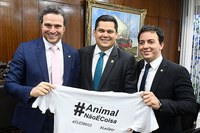 Ativistas em defesa dos animais pedem votação do projeto que proíbe tratamento de animais como coisa