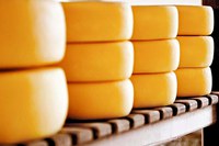 Davi conduz aprovação de regras para produção de queijo artesanal