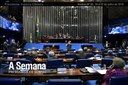 A SEMANA - Senadores aprovam punições para motorista envolvido em contrabando