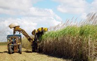 Plenário aprova MP que garante subvenção para produtores de etanol
