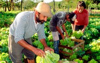Renan destaca necessidade de apoio à agricultura familiar