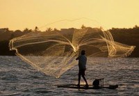 Renan pauta aposentadoria especial para pescadores