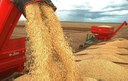 Senado aprova MP que amplia capacidade de armazenamento de grãos