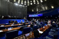 Senado Federal aprova criação do Estatuto da Segurança Privada