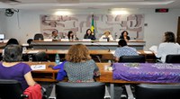 Comissão amplia ação do Congresso no combate à violência contra a mulher