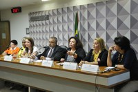 Comissão de Direitos Humanos promove Audiência Pública sobre a “Não à violência contra a Mulher”