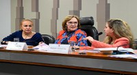 Comissão debate instrumentos de combate à violência contra mulher   