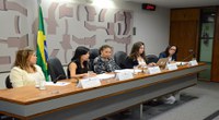 Comissão debate medidas protetivas para mulheres vítimas de violência