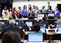 Cota para mulheres na reforma política é defendida pela Bancada Feminina