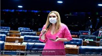 Plenário pode votar banco de dados com medidas protetivas à mulher   