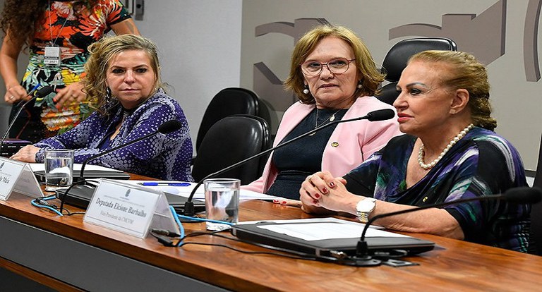 Comissão de Combate à Violência contra Mulher escolhe relatora e vice-presidente