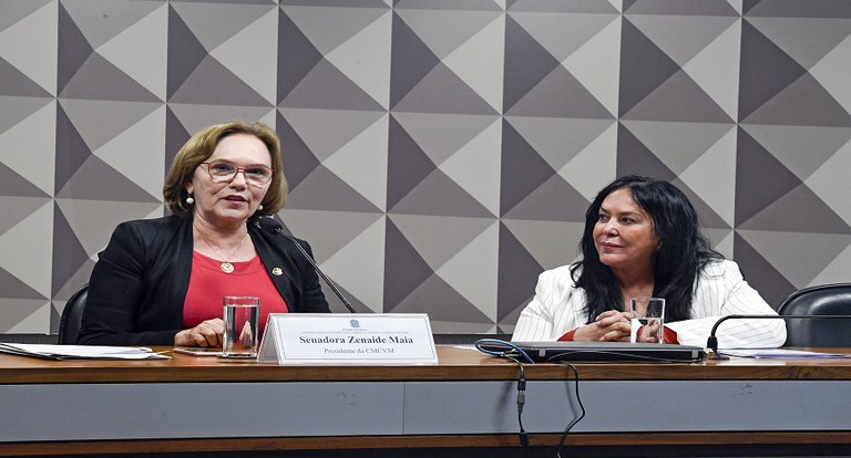 Comissão de Combate à Violência