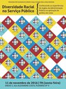 diversidade racial no serviço público