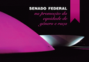 Promoção da Equidade de Gênero e Raça