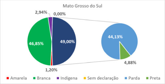 Mato Grosso do Sul por cor-raça 