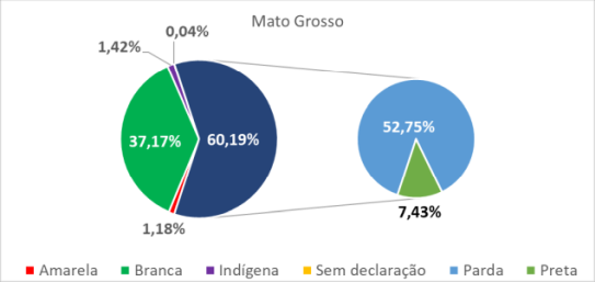 Mato Grosso por cor-raça 