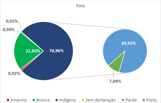 Pará por cor-raça Pará por cor-raça