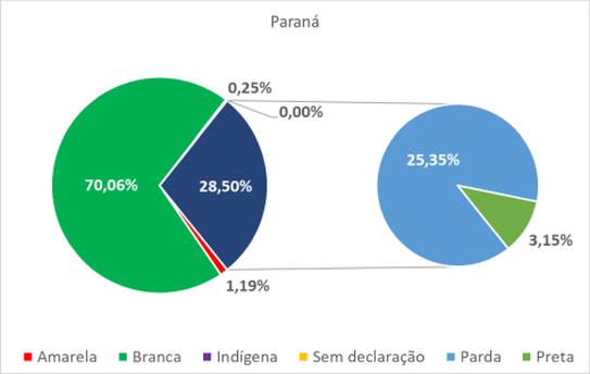 Paraná por cor-raça 