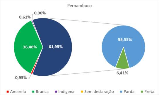 Pernambuco por cor-raça 