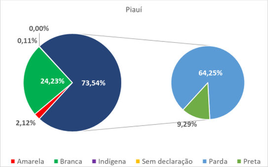 Piauí por cor-raça 