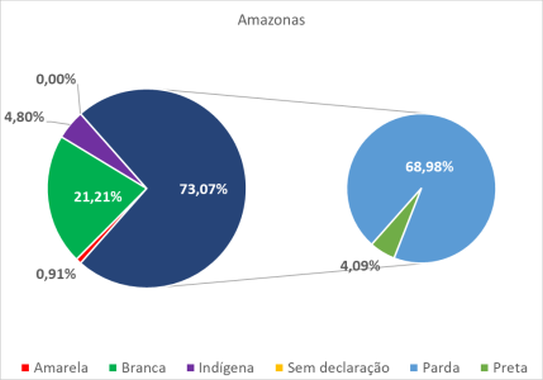 Amazonas por cor-raça 