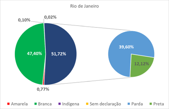 Rio de Janeiro por cor-raça 