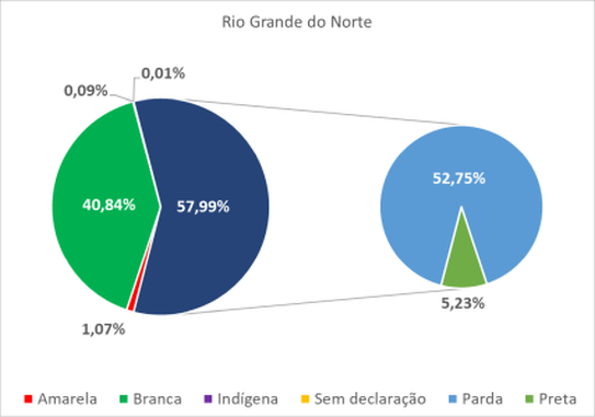 Rio Grande do Norte por cor-raça 