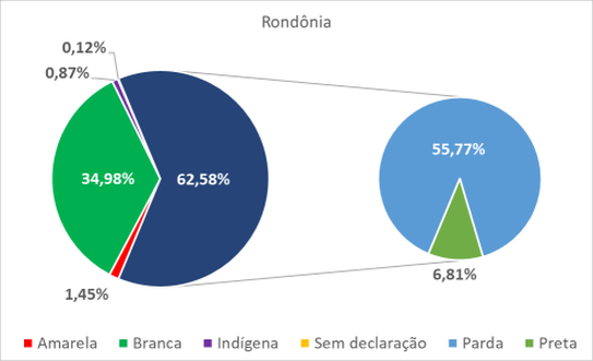Rondônia por cor-raça 