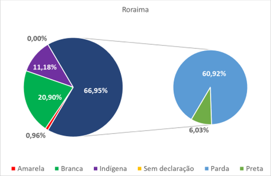 Roraima por cor-raça 