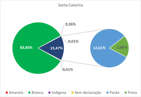 Santa Catarina por cor-raça 