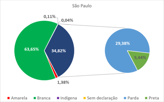 São Paulo por cor-raça São Paulo por cor-raça