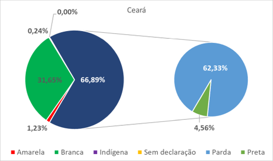 Ceará  por cor-raça 