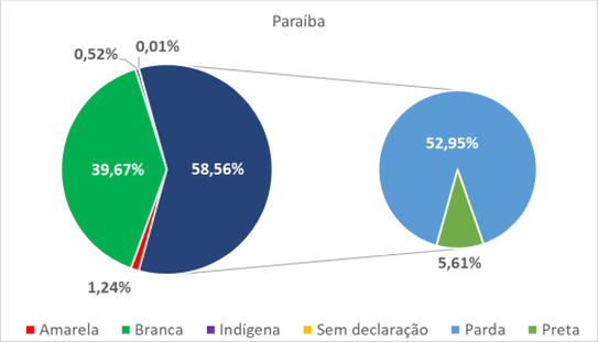 Paraíba por cor-raça 