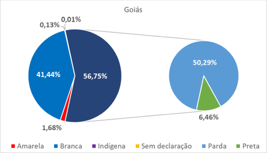 Goiás por cor-raça 