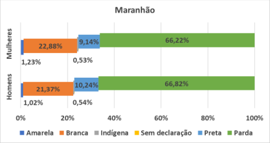 MA por gênero e raça