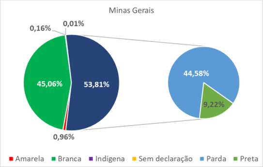 Minas Gerais por cor-raça 